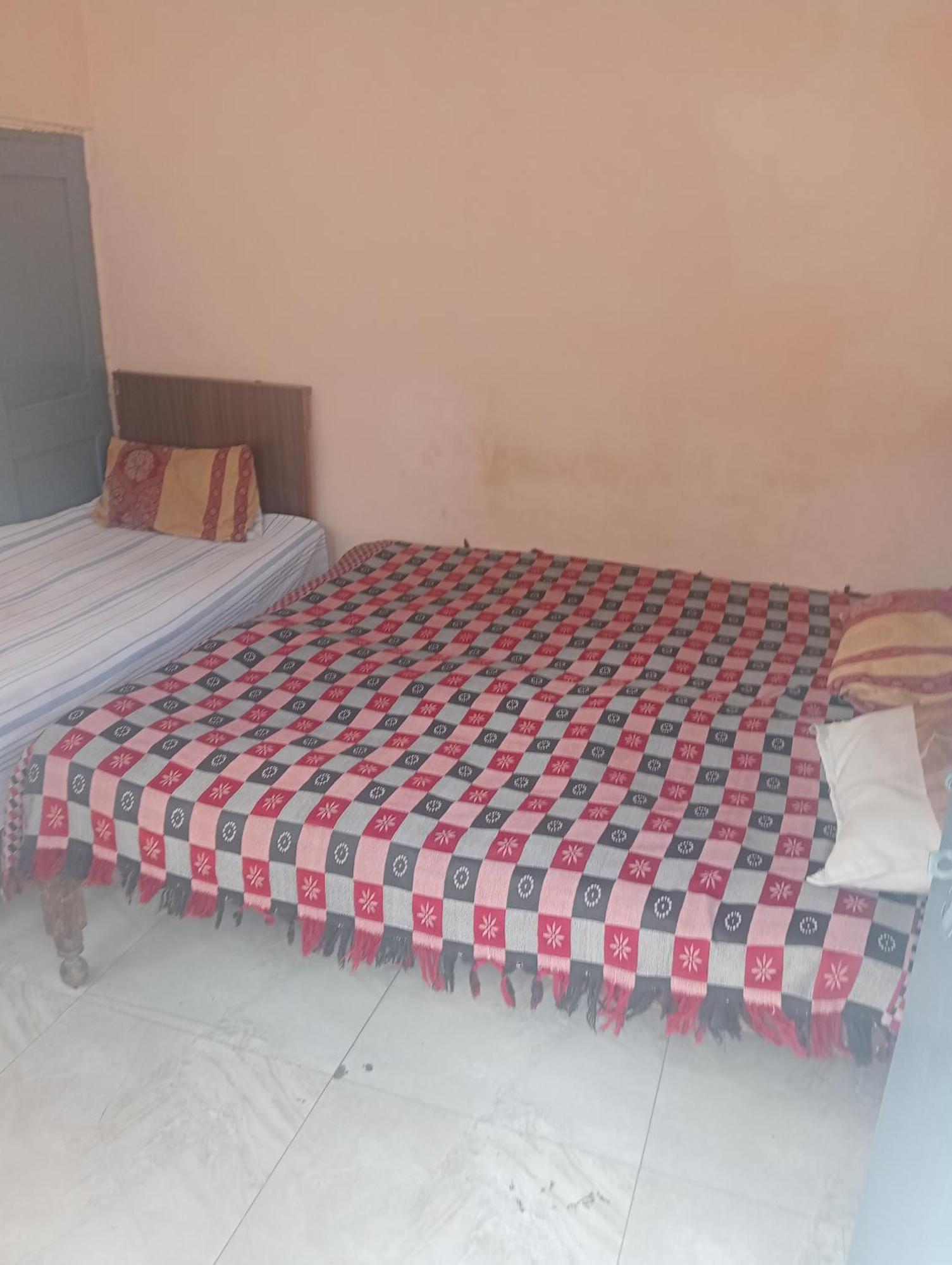 Ever Green Guest House Travel & Pg نيودلهي المظهر الخارجي الصورة