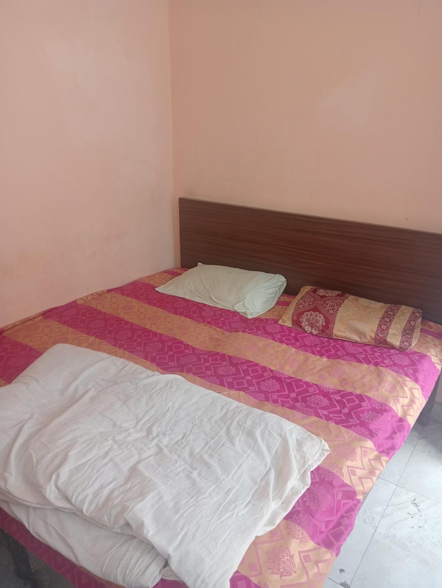 Ever Green Guest House Travel & Pg نيودلهي المظهر الخارجي الصورة