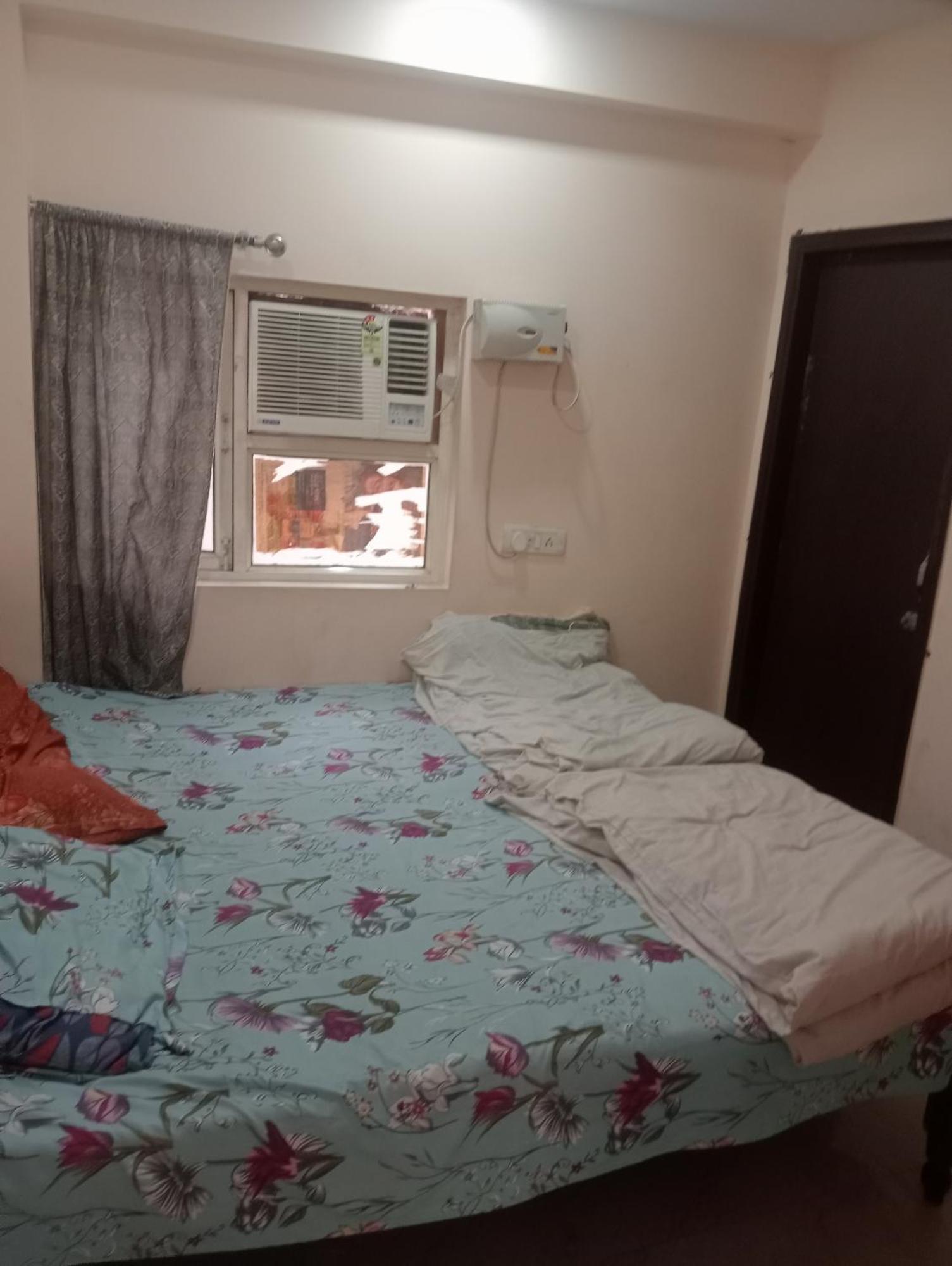 Ever Green Guest House Travel & Pg نيودلهي المظهر الخارجي الصورة