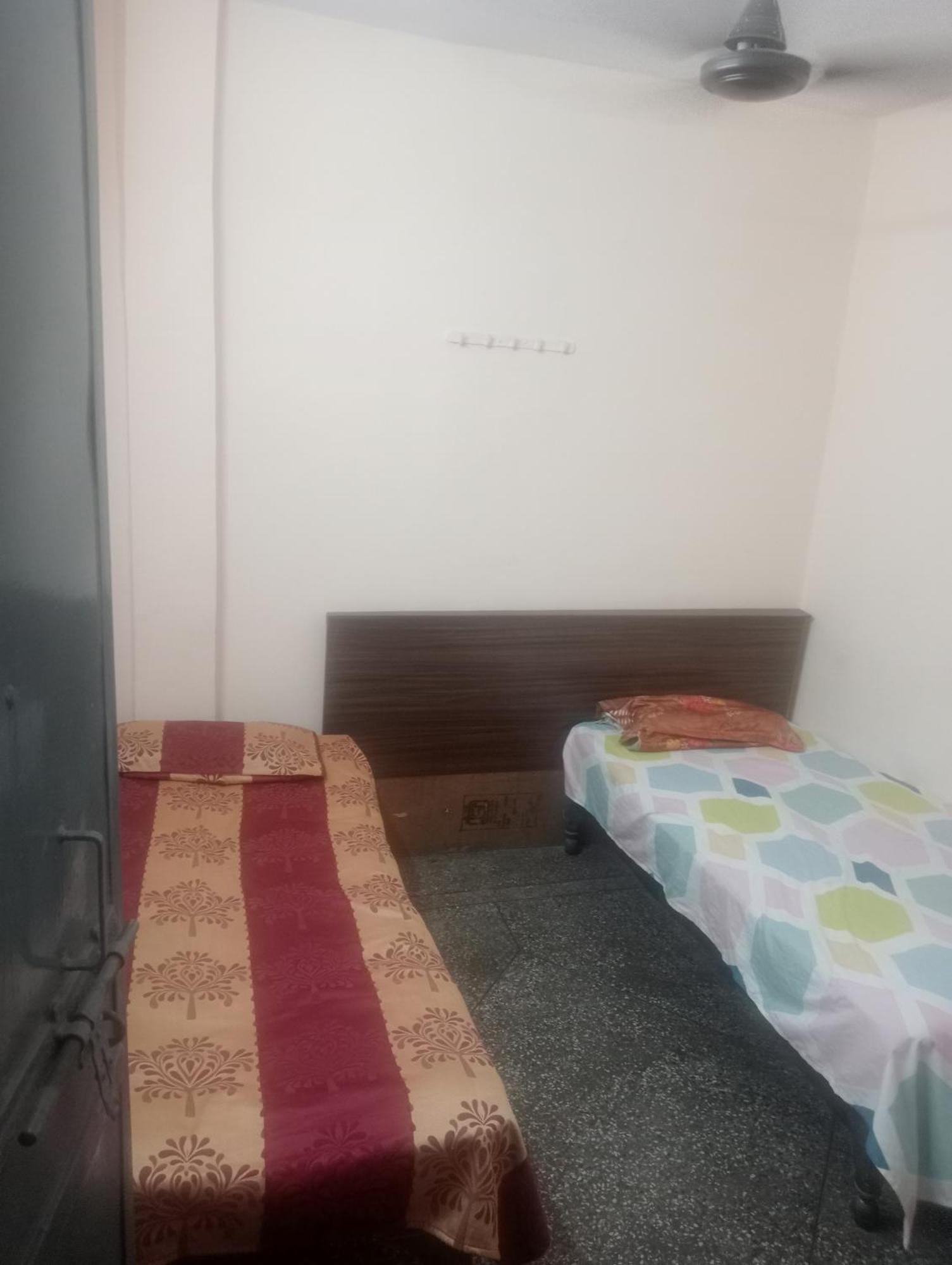 Ever Green Guest House Travel & Pg نيودلهي المظهر الخارجي الصورة